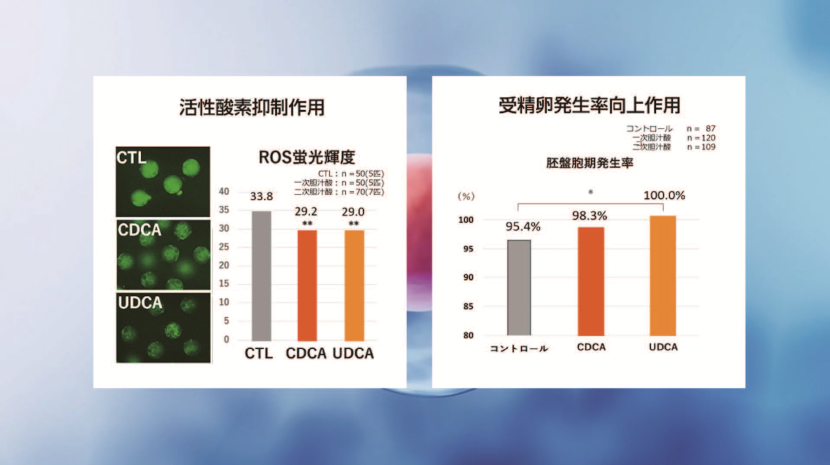 graph2.png