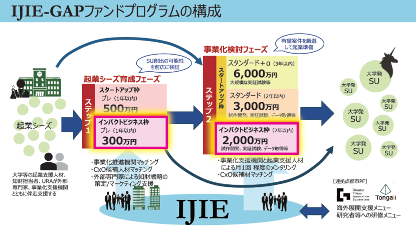 IJIE-GAPfund.png