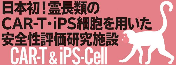 日本初！霊長類のCAR-T・iPS細胞を用いた安全性評価研究施設