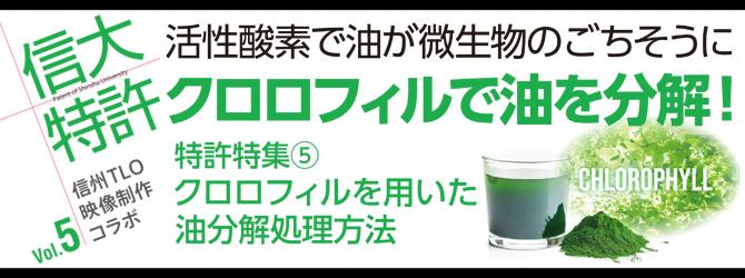 活性酸素で油が微生物のごちそうにクロロフィルで油を分解！