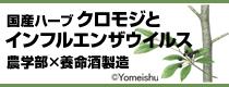 国産ハーブ「クロモジ」がインフルエンザウイルスを99.5％以上ブロックするという新事実。