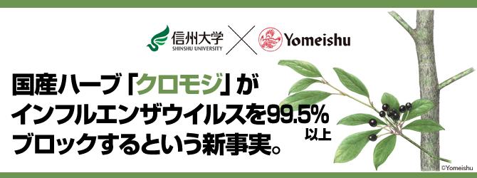 国産ハーブ「クロモジ」がインフルエンザウイルスを99.5％以上ブロックするという新事実。