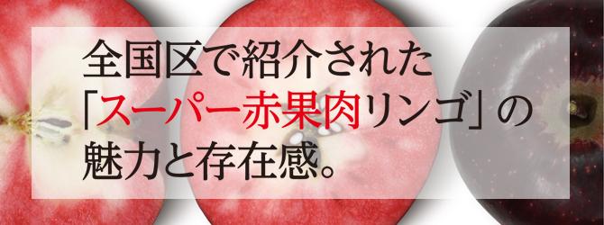 全国区で紹介された「スーパー赤果肉リンゴ」の魅力と存在感。